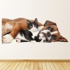 Boxer Dog & Cat Wall Sticker
