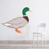 Mallard Duck Farm Animal Wall Sticker