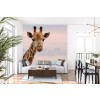 Giraffe Selfie Safari Animals Wall Mural Wallpaper