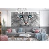 The Grey Cat Pets Vets Animals Wall Mural Wallpaper