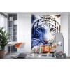 White Tiger Eyes Wall Mural by David Penfound