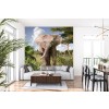 Baby Elephant Wall Mural by David Penfound