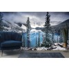 Morning Blues Wall Mural by Trevor Cole