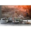 Sunset Lioness Wall Mural by Alessandro Catta