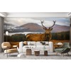 Scottish Stag Wall Mural by Adrian Popan