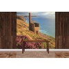 Summer Evening Wall Mural by Andrew Ray