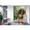 Triceratops Wall Mural by Jerry Lofaro