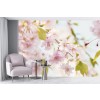 Pink Blossoms Wall Mural by Cindy Taylor
