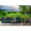 Landscape of Meadow and River Wall Mural by Jaynes Gallery - Danita Delimont
