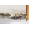 View of Esouan and the Island of Elephantine Wall Mural Artist David Roberts