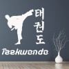 Taekwondo Kick Martial Arts Wall Sticker