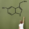 Serotonin Molecule, Happy Molecule Science Classroom Wall Sticker