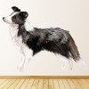 Border Collie Dog Kennels Grooming Wall Sticker
