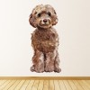 Brown Cockapoo Dog Kennels Grooming Wall Sticker