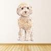 Champagne Cockapoo Dog Kennels Grooming Wall Sticker