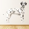 Dalmatian Dog Kennels Grooming Wall Sticker
