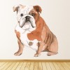 English Bulldog Dog Kennels Grooming Wall Sticker