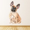French Bulldog Dog Kennels Grooming Wall Sticker