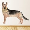 German Shepherd Dog Kennels Grooming Wall Sticker