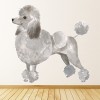 Grey Poodle Dog Kennels Grooming Wall Sticker