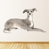 Italian Greyhound Dog Kennels Grooming Wall Sticker