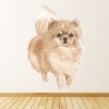 Pomeranian Dog Kennels Grooming Wall Sticker