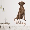 Personalised Name Brown Labrador Wall Sticker