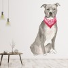 American Staffordshire Terrier Dog Kennels Grooming Wall Sticker