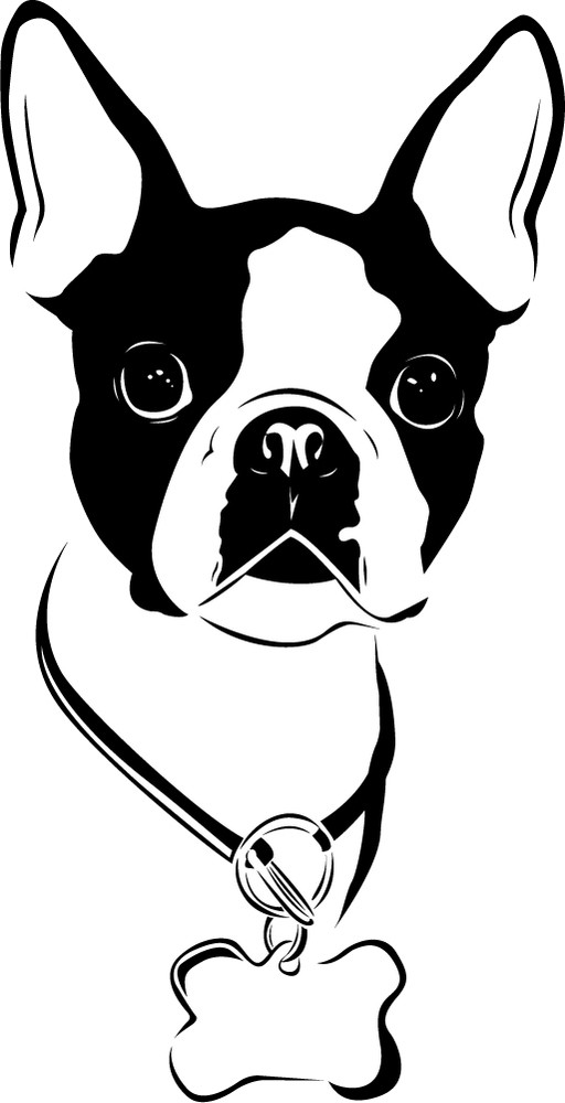 Boston Terrier Collar Dog Pet Animals Wall Sticker