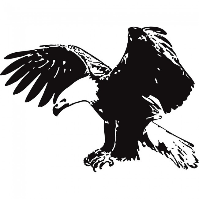 Soaring Eagle Bird Wall Sticker WS-17617