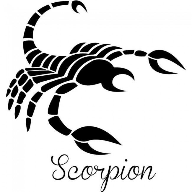 Scorpio Scorpion Wall Sticker Zodiac Wall Art
