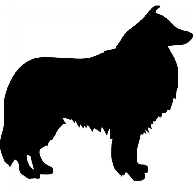 Collie Sheep Dog Wall Sticker Pack Pet Animals Wall Decal