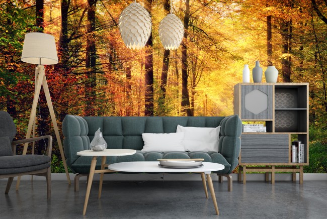 Autumn Forest Sunlight Wall Mural Wallpaper