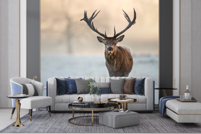 Red Stag Winter Forest Wall Mural Wallpaper WS-42870