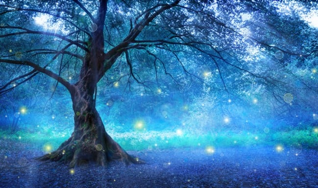 Blue Fairy Tree Wall Mural Fairytale Forest Photo 