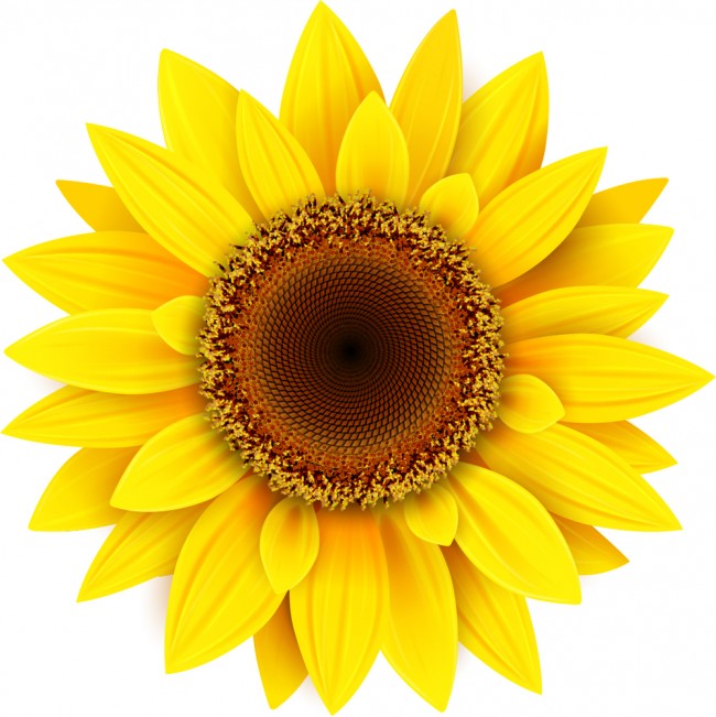 Yellow Sunflower Flower Wall Sticker