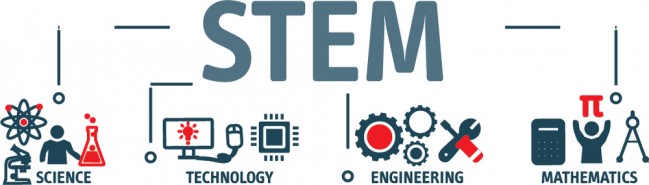 STEM Concept Science Matchs Wall Sticker WS-46444 