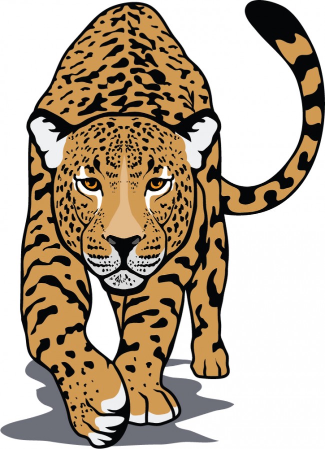 Leopard Big Cats Animals Wall Sticker
