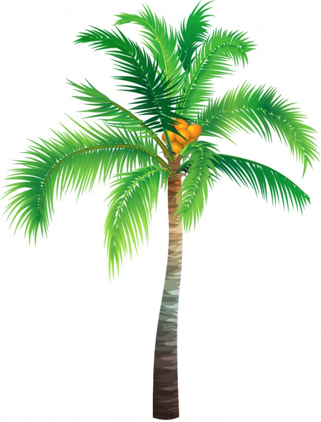 Palm Tree Tropical Trees Wall Sticker