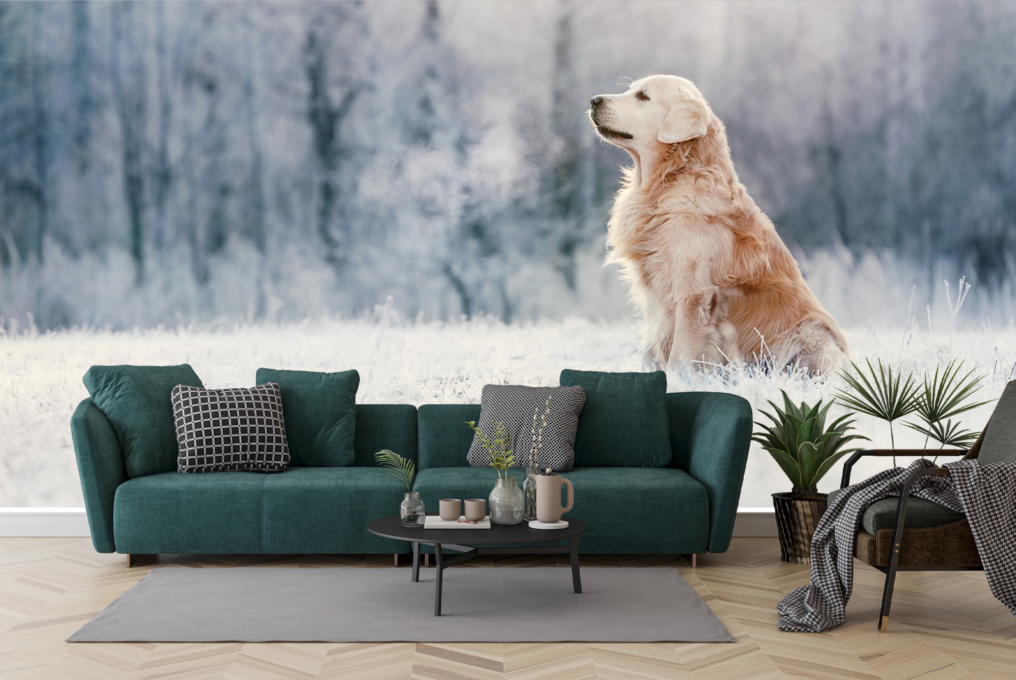 Golden Retriever Dog Wall Mural White Winter Photo 