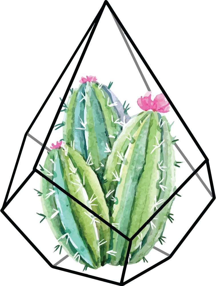 WS-50698-03