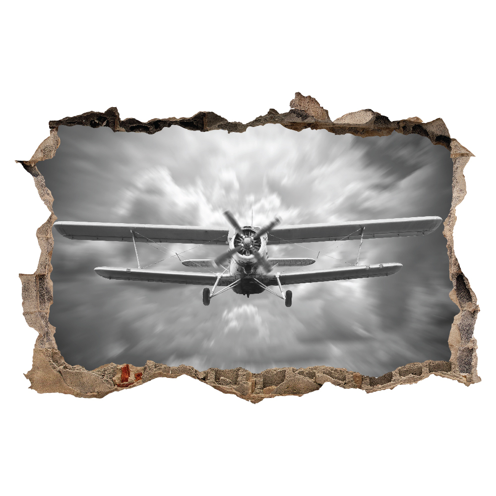 WS-66998-03