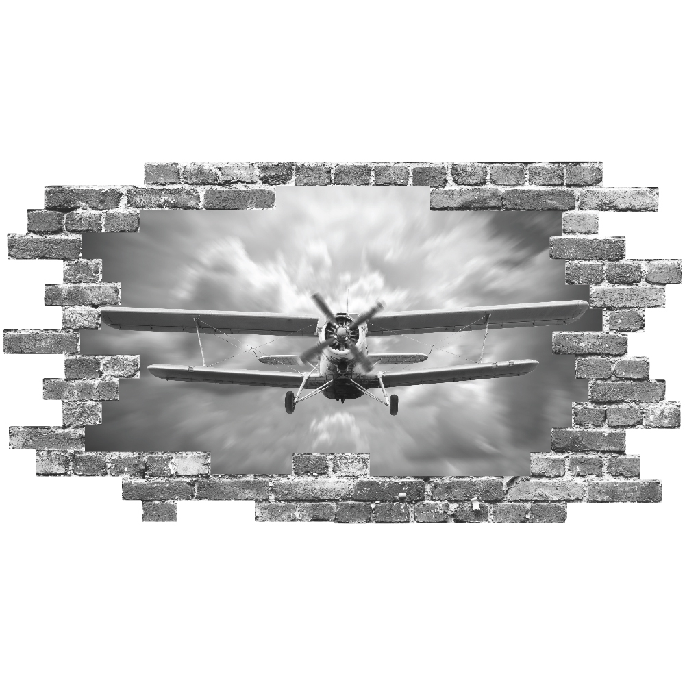 WS-67388-03