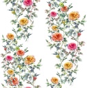 WS-50644-03