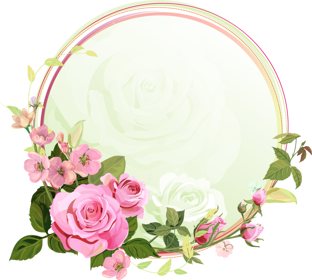 WS-50635-03