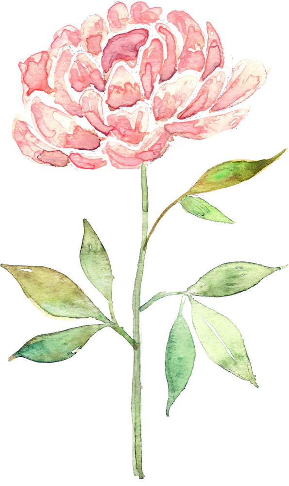WS-56587-03