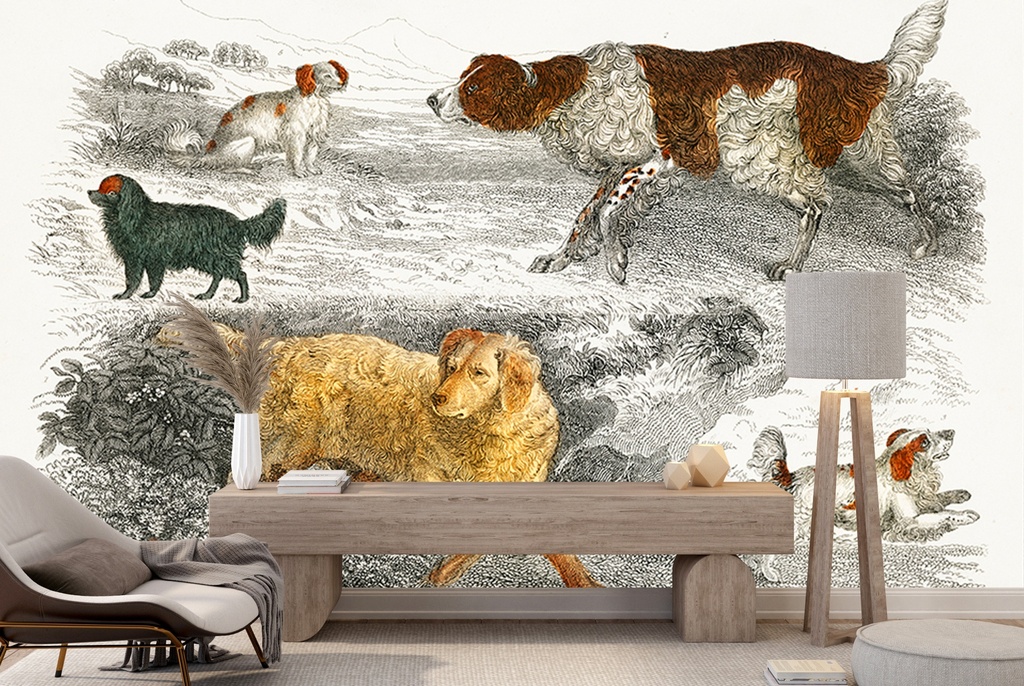 WS-68518-02