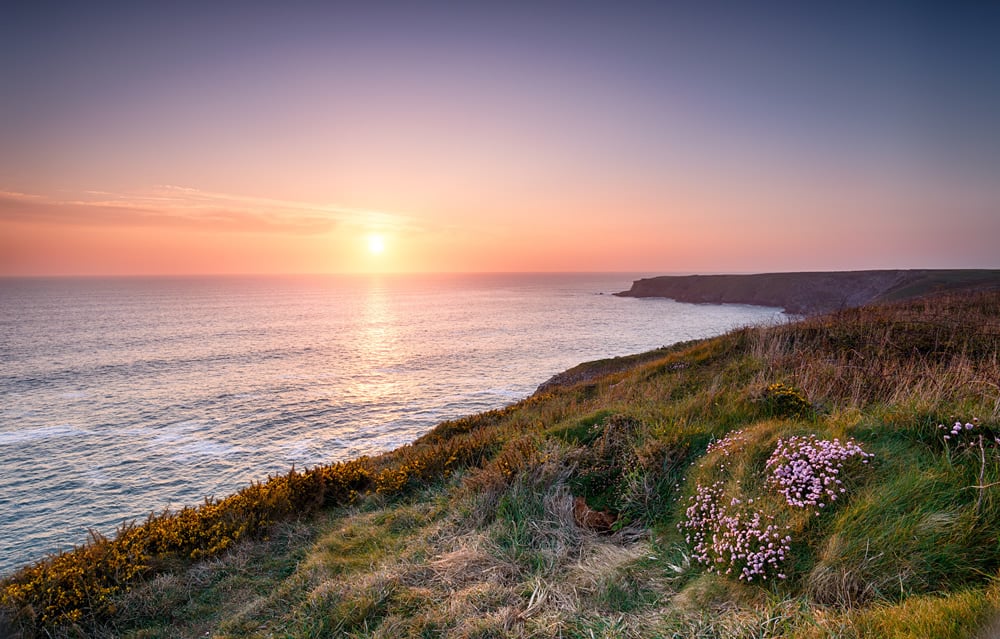 WS-47636-03