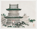 WS-68505-04