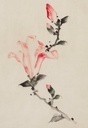 WS-68494-03